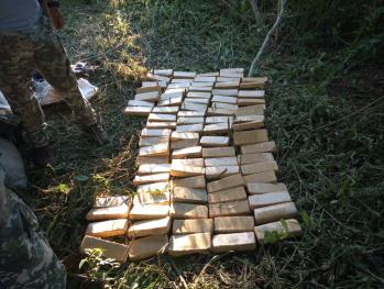Canindeyú: Confiscaron más de una tonelada de droga tras incursión en montes
